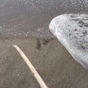 ヒメ日記 2025/04/13 18:46 投稿 みみ ニュー不夜城