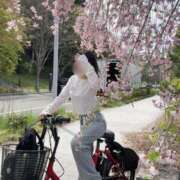 ヒメ日記 2025/04/27 17:26 投稿 みみ ニュー不夜城