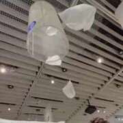 ヒメ日記 2025/05/07 17:26 投稿 みみ ニュー不夜城