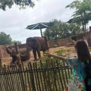 ヒメ日記 2025/06/02 16:16 投稿 みみ ニュー不夜城