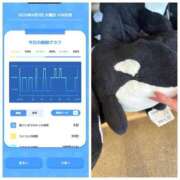 ヒメ日記 2025/06/04 02:36 投稿 みみ ニュー不夜城