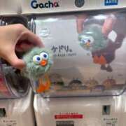 ヒメ日記 2025/06/09 20:46 投稿 みみ ニュー不夜城