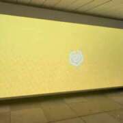 ヒメ日記 2025/06/17 09:06 投稿 みみ ニュー不夜城