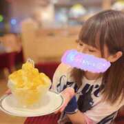 ヒメ日記 2025/07/30 17:26 投稿 みみ ニュー不夜城