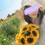 ヒメ日記 2025/08/08 18:16 投稿 みみ ニュー不夜城