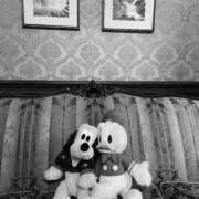 ヒメ日記 2025/08/14 04:36 投稿 みみ ニュー不夜城