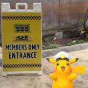 ヒメ日記 2025/08/16 08:47 投稿 みみ ニュー不夜城