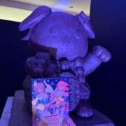 ヒメ日記 2025/08/18 20:26 投稿 みみ ニュー不夜城