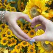 ヒメ日記 2025/09/25 17:46 投稿 みみ ニュー不夜城