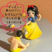 ヒメ日記 2025/10/14 00:36 投稿 みみ ニュー不夜城