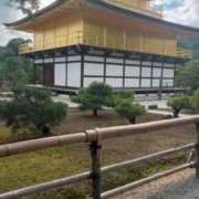 ヒメ日記 2025/10/17 22:46 投稿 みみ ニュー不夜城