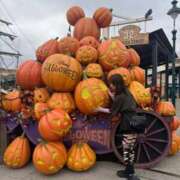 ヒメ日記 2025/10/19 15:16 投稿 みみ ニュー不夜城