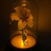 ヒメ日記 2025/11/02 23:06 投稿 みみ ニュー不夜城