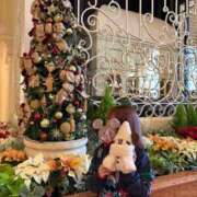 ヒメ日記 2025/11/04 23:16 投稿 みみ ニュー不夜城