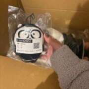 ヒメ日記 2025/11/16 13:26 投稿 みみ ニュー不夜城