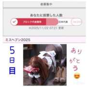 ヒメ日記 2025/11/22 10:46 投稿 みみ ニュー不夜城