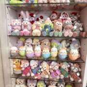 ヒメ日記 2025/12/12 18:26 投稿 みみ ニュー不夜城