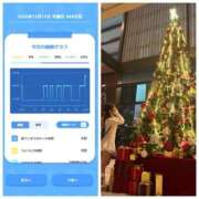 ヒメ日記 2025/12/16 07:56 投稿 みみ ニュー不夜城