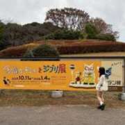 ヒメ日記 2025/12/19 10:35 投稿 みみ ニュー不夜城