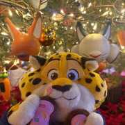 ヒメ日記 2025/12/23 21:46 投稿 みみ ニュー不夜城