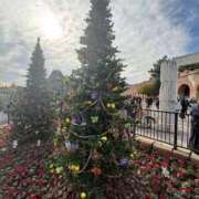 ヒメ日記 2025/12/25 20:06 投稿 みみ ニュー不夜城