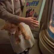 ヒメ日記 2026/01/07 20:26 投稿 みみ ニュー不夜城