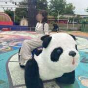 ヒメ日記 2026/01/27 11:15 投稿 みみ ニュー不夜城