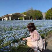 ヒメ日記 2026/03/08 09:06 投稿 みみ ニュー不夜城