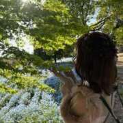 ヒメ日記 2026/03/18 12:27 投稿 みみ ニュー不夜城