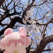 ヒメ日記 2026/03/24 20:36 投稿 みみ ニュー不夜城