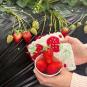 ヒメ日記 2026/03/25 20:27 投稿 みみ ニュー不夜城