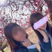 ヒメ日記 2026/03/28 11:56 投稿 みみ ニュー不夜城