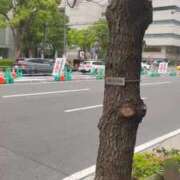 ヒメ日記 2026/04/29 21:49 投稿 みみ ニュー不夜城