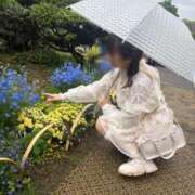 ヒメ日記 2026/05/30 18:26 投稿 みみ ニュー不夜城