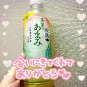 ヒメ日記 2025/09/22 23:49 投稿 こずえ 熟女の風俗最終章 新潟店