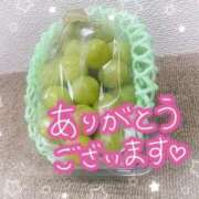 ヒメ日記 2025/11/02 12:04 投稿 こずえ 熟女の風俗最終章 新潟店