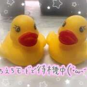 こずえ 残り時間もファイト٩( 'ω' )و 熟女の風俗最終章 新潟店