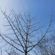 ヒメ日記 2026/02/24 13:13 投稿 こずえ 熟女の風俗最終章 新潟店