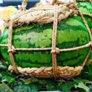 ヒメ日記 2025/08/10 07:20 投稿 せいか 濃厚即19妻