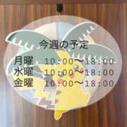 ヒメ日記 2024/08/05 03:10 投稿 もか 横浜泡洗体デラックスエステ