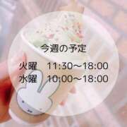 ヒメ日記 2024/12/17 11:22 投稿 もか 横浜泡洗体デラックスエステ