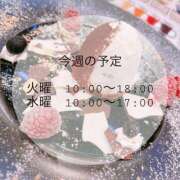ヒメ日記 2025/08/19 10:01 投稿 もか 横浜泡洗体デラックスエステ
