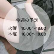ヒメ日記 2025/09/16 10:01 投稿 もか 横浜泡洗体デラックスエステ