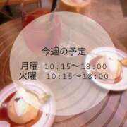 ヒメ日記 2026/02/16 10:23 投稿 もか 横浜泡洗体デラックスエステ