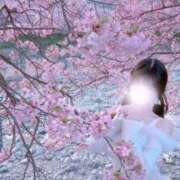 ヒメ日記 2025/03/10 23:06 投稿 一知花 ドンファン