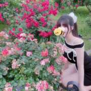 ヒメ日記 2025/06/03 21:15 投稿 一知花 ドンファン