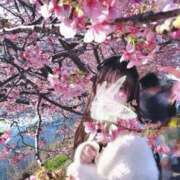 一知花 🌸 ドンファン