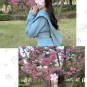 一知花 お散歩していたら ドンファン