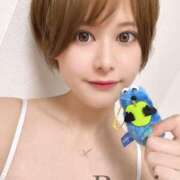 ヒメ日記 2025/08/12 09:06 投稿 奏れみ セグレターリオ