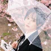 ヒメ日記 2026/03/24 12:50 投稿 奏れみ セグレターリオ